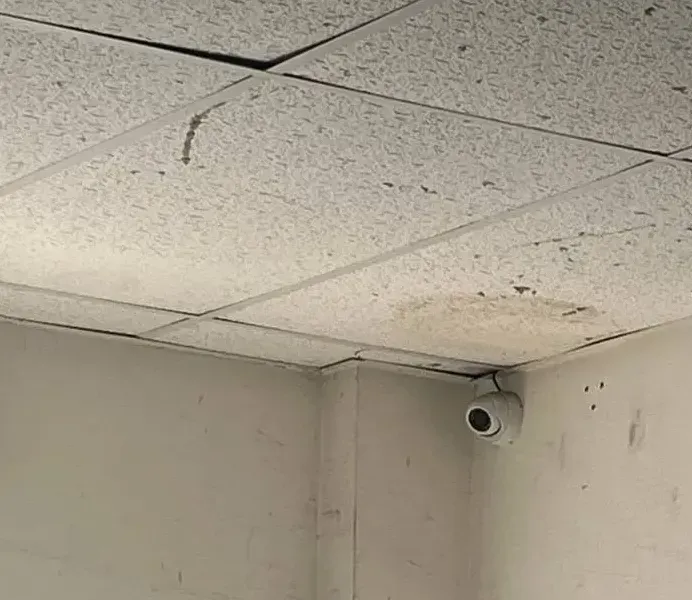 Dome camera under water-stained ceiling tiles — Cat6 repair reference, Mott Haven Reference photo: white dome camera in the corner of an unfinished room beneath water-stained, cracked ceiling tiles, its cable entering the tile edge — the sort of damaged ceiling we inspect on Cat6 repair calls in Mott Haven, Bronx