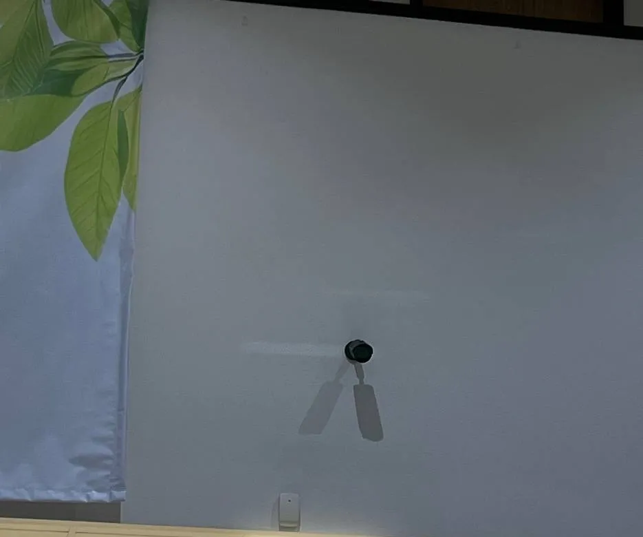 Black camera on a short bracket on a plain painted wall beside a leaf-print panel, with a small white sensor below — reference photo from another AESS job, Cat6 repair page for Tottenville, Staten Island