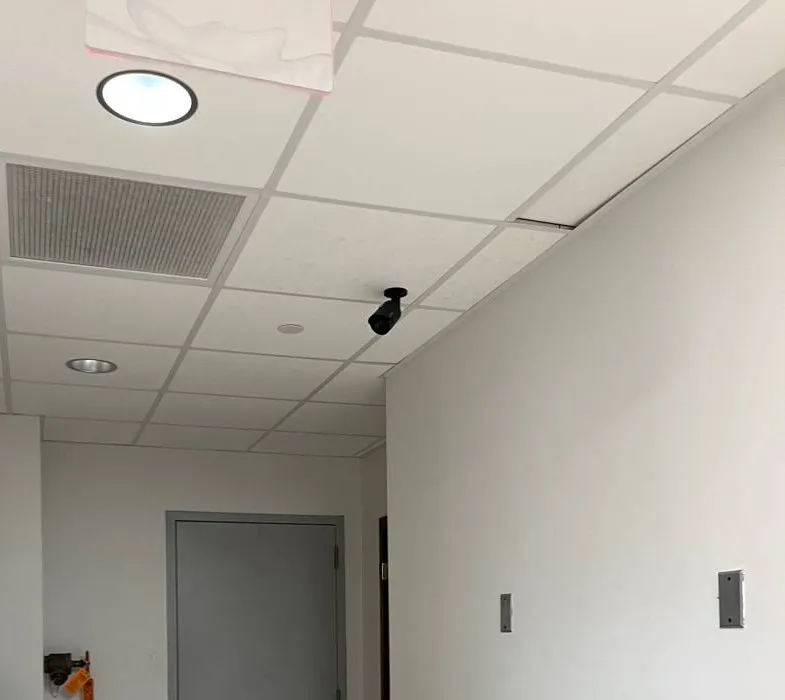 Black bullet camera on a corridor ceiling aimed at a door â Manhattan Hik-Connect support example Manhattan Hik-Connect app support example photo: a small black bullet camera mounted on a white drop ceiling in a narrow corridor, aimed toward a grey door at the far end