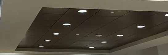 Dark recessed ceiling panel with rows of downlights, Ulster County example photo Hikvision camera placement Ulster County example: dark recessed ceiling panel with rows of round downlights and one small white round fixture near the centre