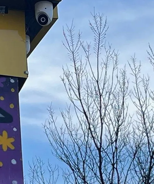 White dome camera at a building corner against the sky — example photo for Long Island school exteriors Long Island school security camera installation example photo: a white dome camera at the top corner of a building edge against a blue sky with bare tree branches, a painted mural visible at the lower left