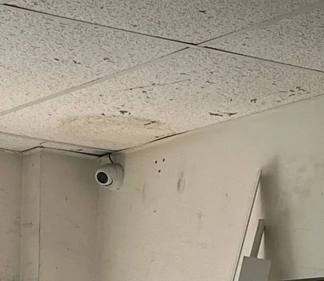 White dome camera in the corner of a bare storage room — example photo for Orange County school service spaces Orange County school security camera installation example photo: a small white dome camera mounted at the top corner of a bare, scuffed storage room wall under a stained drop ceiling