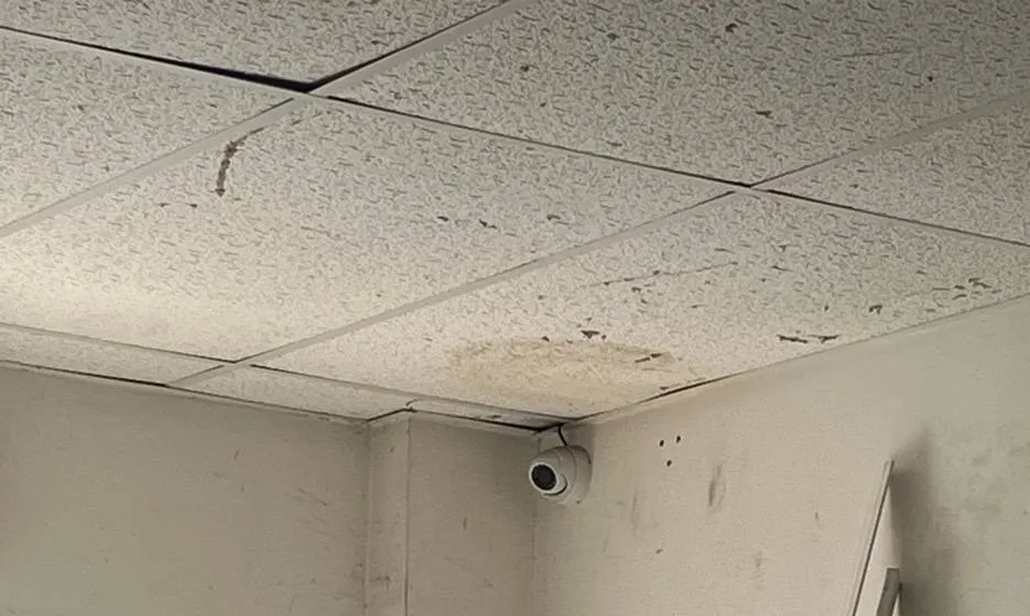 Throgs Neck, Bronx Sonos installation reference photo: ceiling tiles with a brown water stain and cracks above a scuffed corner where a small dome camera is fixed