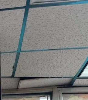 Ceiling grid ending at a soffit over shop glass — AESS reference photo, Sonos for Upper West Side, Manhattan storefronts Upper West Side, Manhattan Sonos reference photo: drop-ceiling tiles on a teal grid ending at a soffit above the top of a glass shopfront