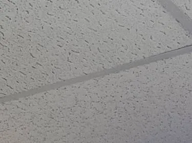 Textured ceiling tiles and a grid line โ reference photo, Sonos installation Williamsburg, Brooklyn Williamsburg, Brooklyn Sonos installation reference photo from another AESS job: close view of textured fissured ceiling tiles divided by a thin grid line