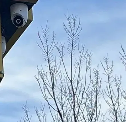 White dome camera under an eave with bare winter branches — Uniview installation Dutchess County example Uniview camera installation Dutchess County example photo: a white dome camera under a dark roof eave on a yellow wall, bare winter branches against a blue sky
